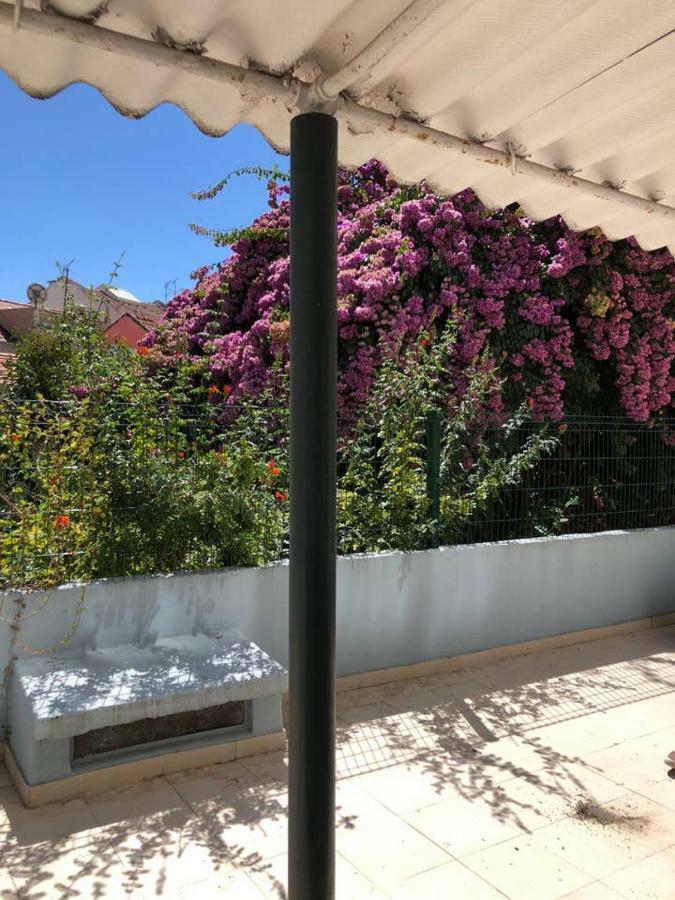 Grandmommy'S House - Traditional And Comfy Lisboan Apartment Εξωτερικό φωτογραφία